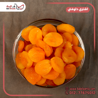 صورة مشمشية مقاس 2 (5) ك